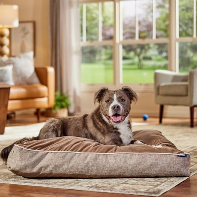 Frisco Frisco Orthopedic Pillow Cat & Dog Bed with Removable Cover, Beige, X-Large