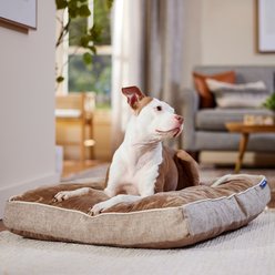 Frisco Orthopedic Pillow Cat & Dog Bed with Removable Cover, Beige, Large