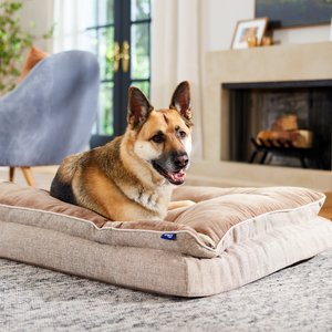 Frisco Plush Orthopedic Pillowtop Dog Bed w/Removable Cover, Beige, XX-Large