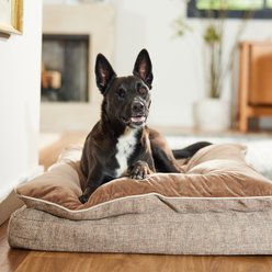 Frisco Plush Orthopedic Pillowtop Dog Bed w/Removable Cover, Beige, X-Large