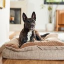 Frisco Plush Orthopedic Pillowtop Dog Bed w/Removable Cover, Beige, X-Large