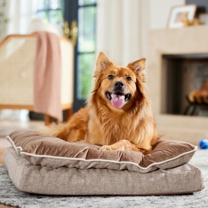 Frisco Plush Orthopedic Pillowtop Dog Bed w/Removable Cover, Beige, Large