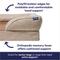 Show in main carousel: Frisco Plush Orthopedic Front Bolster Cat & Dog Bed w/Removable Cover, Beige, Large slide 4 of 9