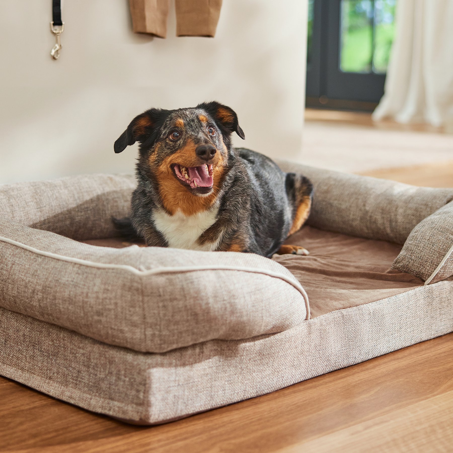 Frisco Plush Orthopedic Front Bolster Cat & Dog Bed w/Removable Cover, Beige, Large