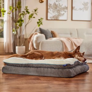 Frisco Plush Orthopedic Pillowtop Dog Bed w/Removable Cover, Gray, X-Large