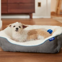 Frisco Sherpa Bolster Cat & Dog Bed, Gray, Small