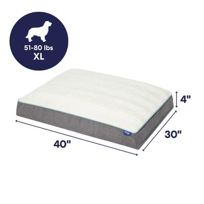 Show full view: Frisco Orthopedic Pillow Cat & Dog Bed with Removable Cover, Gray, X-Large slide 3 of 10