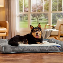 Frisco Orthopedic Sofa Cat & Dog Bed with Removable Cover, Gray, X-Large