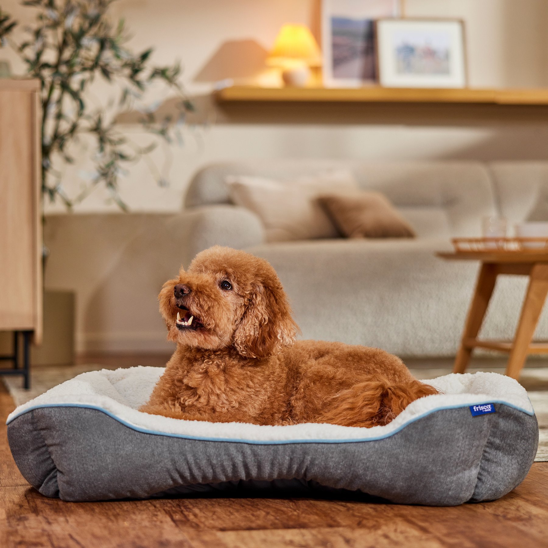 Frisco Sherpa Bolster Cat & Dog Bed, Gray, Large