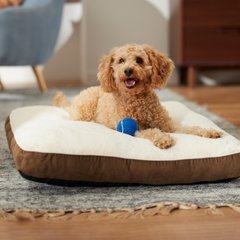 Frisco Faux Suede Pillow Cat & Dog Bed with Removable Cover, Brown, Medium