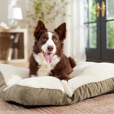 Frisco Frisco Faux Suede Pillow Cat & Dog Bed with Removable Cover, Khaki Green, X-Large
