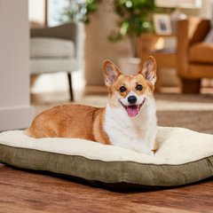 Frisco Faux Suede Pillow Dog Bed with Removable Cover, Khaki Green, Medium