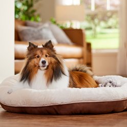 Frisco Faux Suede Donut Cuddler Cat & Dog Bed, Brown, Medium slide 1 of 9