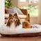 Show in main carousel: Frisco Faux Suede Donut Cuddler Cat & Dog Bed, Brown, Medium slide 1 of 10