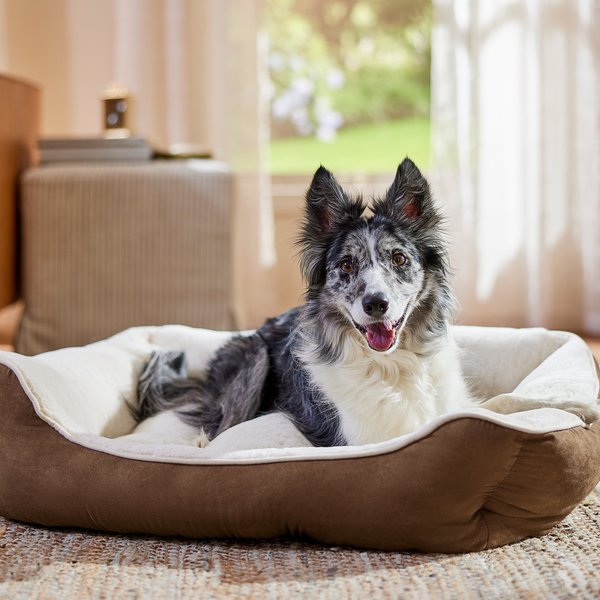 FRISCO Faux Suede Bolster Cat Dog Bed, Brown, Large