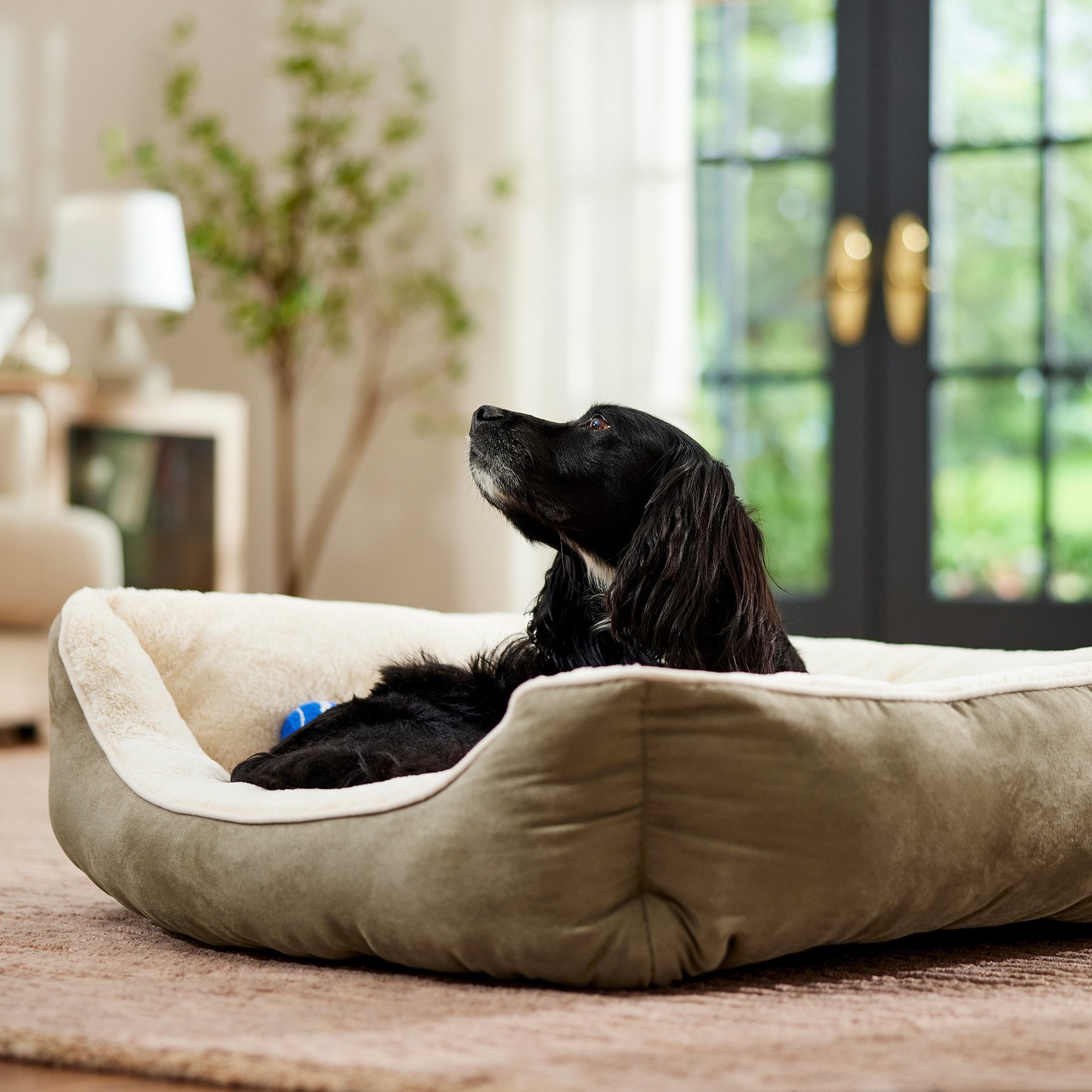 Frisco Faux Suede Bolster Cat & Dog Bed, Khaki Green, Large