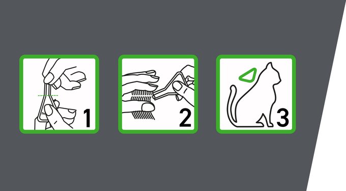 Frontline Plus Flea & Tick Spot Treatment for Cats, over 1.5 lbs