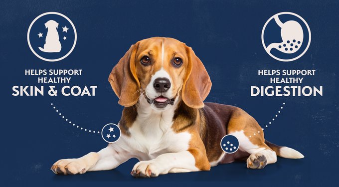 Natural Balance Limited Ingredient Reserve Grain-Free Sweet Potato & Venison Recipe Dry Dog Food