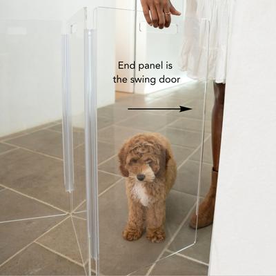 Show full view: Hiddin Clear Wall Mounted Tall Zig Zag Dog Gate, Clear, Gold, 4-Panel slide 7 of 8
