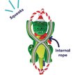 Show in main carousel: Frisco Holiday Plush with Rope Squeaky Dog Toy, Dinosaur, Medium/Large slide 3 of 11