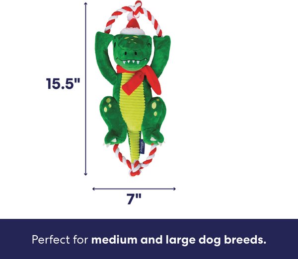 Show full view: Frisco Holiday Plush with Rope Squeaky Dog Toy, Dinosaur, Medium/Large slide 2 of 11
