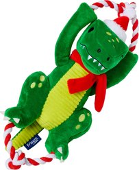 Frisco Holiday Plush with Rope Squeaky Dog Toy, Dinosaur, Medium/Large