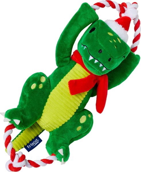 Show full view: Frisco Holiday Plush with Rope Squeaky Dog Toy, Dinosaur, Medium/Large slide 1 of 11