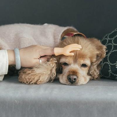 Show full view: Happy & Polly Rubber Finger Cat Toy slide 5 of 10