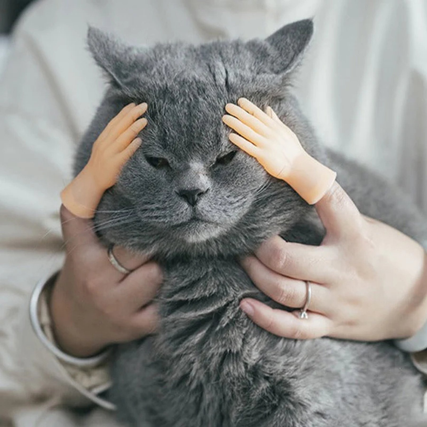 Happy & Polly Rubber Finger Cat Toy