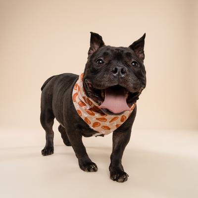Show full view: The Paws Drumstick Dog Bandana, Brown, Small slide 3 of 6
