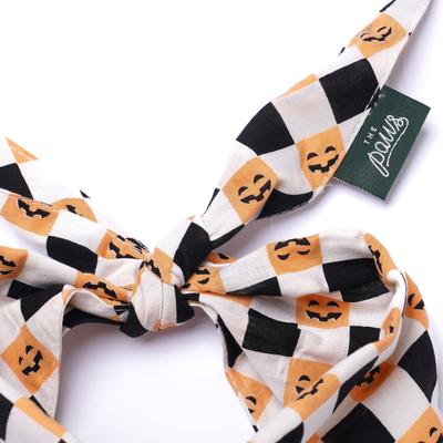 Show full view: The Paws Trick or Treat Dog Bandana, Orange, Small slide 5 of 6