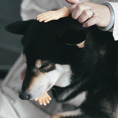 Show full view: Happy & Polly Rubber Finger Cat Toy slide 6 of 10