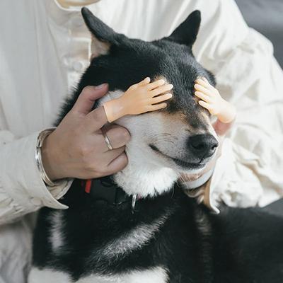 Show full view: Happy & Polly Rubber Finger Cat Toy slide 7 of 10