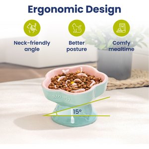 PawsPik Raised Ceramic Slow Feeder Dog & Cat Food Bowl, Rose Pink