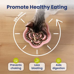 PawsPik Raised Ceramic Slow Feeder Dog & Cat Food Bowl, Rose Pink