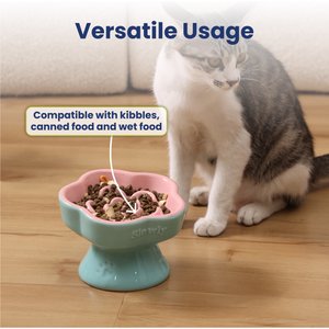 PawsPik Raised Ceramic Slow Feeder Dog & Cat Food Bowl, Rose Pink