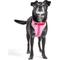 Show in main carousel: Wild One Adjustable Cushioned Dog Harness, Bubblegum Pink, Large: 24 to 38-in chest slide 7 of 11