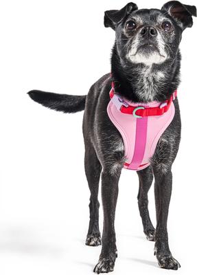 Show full view: Wild One Adjustable Cushioned Dog Harness, Bubblegum Pink, Large: 24 to 38-in chest slide 7 of 11
