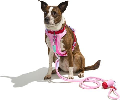Show full view: Wild One Adjustable Cushioned Dog Harness, Bubblegum Pink, Large: 24 to 38-in chest slide 6 of 11