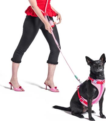Show full view: Wild One Adjustable Cushioned Dog Harness, Bubblegum Pink, Small: 14 to 22-in chest slide 6 of 10