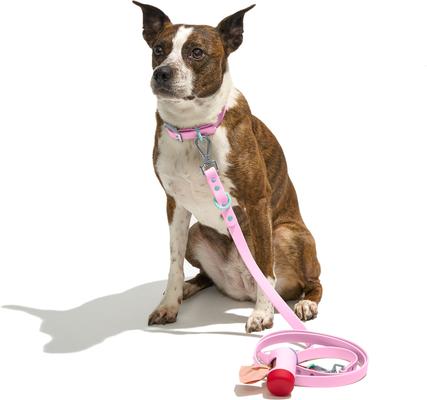 Show full view: Wild One Adjustable Waterproof Flex-Poly Coated Nylon Leash, Bubblegum Pink, Small: 4-ft long, 1/2-in wide slide 5 of 11
