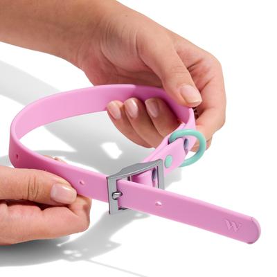 Show full view: Wild One Adjustable Waterproof Flex-Poly Coated Nylon Dog Collar, Bubblegum Pink, Small: 8 to 12-in neck, 3/4-in wide slide 5 of 10