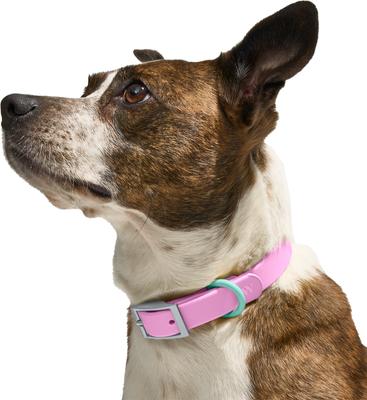 Show full view: Wild One Adjustable Waterproof Flex-Poly Coated Nylon Dog Collar, Bubblegum Pink, Small: 8 to 12-in neck, 3/4-in wide slide 3 of 10