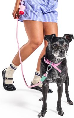 Show full view: Wild One Adjustable Waterproof Flex-Poly Coated Nylon Dog Collar, Bubblegum Pink, Small: 8 to 12-in neck, 3/4-in wide slide 6 of 10