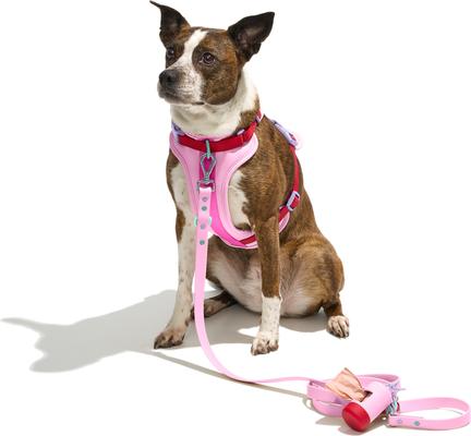 Show full view: Wild One Adjustable Waterproof Flex-Poly Coated Nylon Leash, Bubblegum Pink, Small: 4-ft long, 1/2-in wide slide 3 of 11