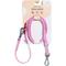 Show in main carousel: Wild One Adjustable Waterproof Flex-Poly Coated Nylon Leash, Bubblegum Pink, Small: 4-ft long, 1/2-in wide slide 2 of 11