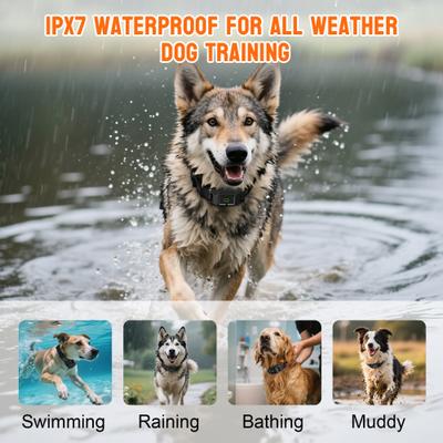 Show full view: Hoistspark F700 Wireless GPS Dog Fence slide 9 of 10