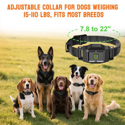 Show full view: Hoistspark F700 Wireless GPS Dog Fence slide 7 of 10