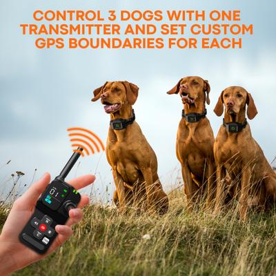 Show full view: Hoistspark F700 Plus Wireless GPS Dog Fence slide 6 of 9