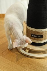 Fairela Wine Bottle 24.8-in Hemp Cat Scratching Post, Black/Brown slide 2 of 9